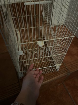 Jaula para pájaros blanca