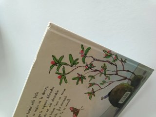 Cuento "La Babosa Cariñosa".
