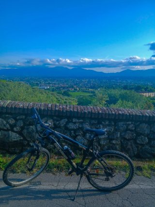 Mountain bike Rockrider 5.2 usata