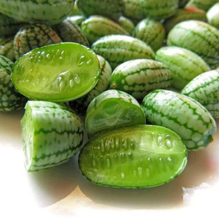 10 Sementes Cucamelon Melothria scabra