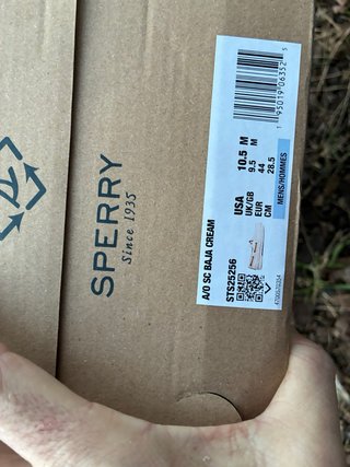 Scarpe Sperry Tela Beige/Marrone Tg 44