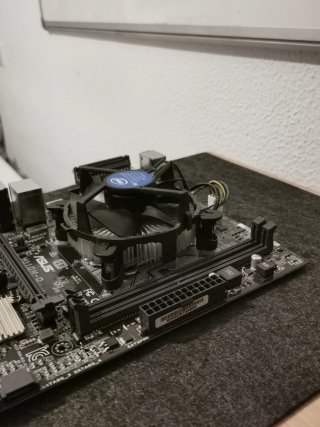 Placa Base ASUS H110M-D