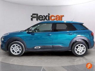 Citroën C4 Cactus PureTech 110 S&S Shine