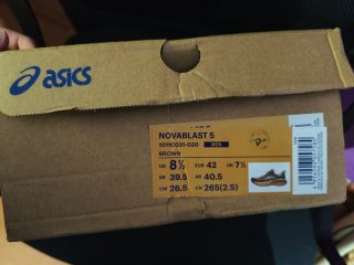 Asics Novablast 5 Talla 42 Beige/Dorado