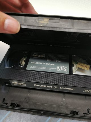 VHS - GAUGUIN, EL SALVAJE - DAVID CARRADINE