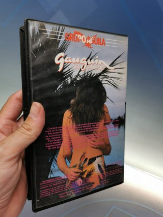 VHS - GAUGUIN, EL SALVAJE - DAVID CARRADINE