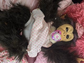Chimpancé reborn