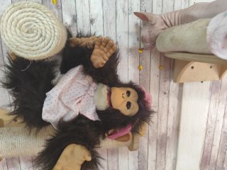 Chimpancé reborn
