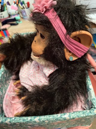 Chimpancé reborn