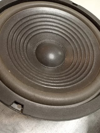 Pareja Woofers 10" 8 ohm