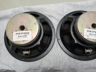 Pareja Woofers 10" 8 ohm