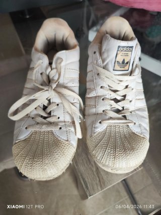 Adidas Superstar Blancas Mujer Talla 38