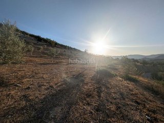 Terreno en venta en Priego de Córdoba