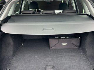 Audi Q5 Advanced 35 TDI 120 kW (163 CV) S tronic