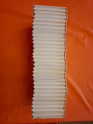 Colección completa Los Jóvenes Castores, de 1988