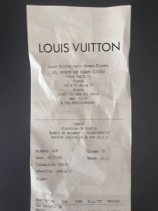 Louis Vuitton CaryAllpm