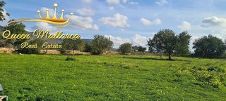Terreno en venta en Llucmajor Interior en Llucmajor