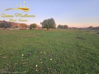 Terreno en venta en Llucmajor Interior en Llucmajor