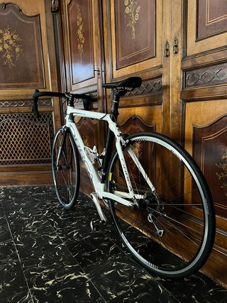 Bicicleta BH Onix Carbon Ruta