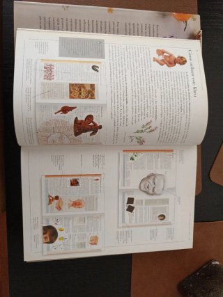 Guía Familiar de Medicina Alternativa Enciclope...