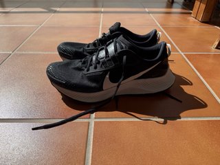 Nike Pegasus Trail 3 Negro Blanco