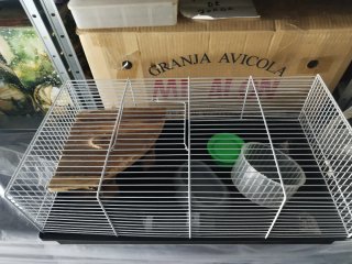 Jaula para hámster con accesorios precio negociabl