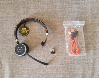 Auriculares Profesionales Jabra Evolve 65