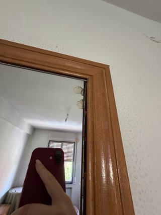Puertas de armario con espejo