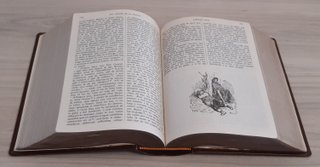 DON QUIJOTE DE LA MANCHA. EDICIÓN ESPECIAL