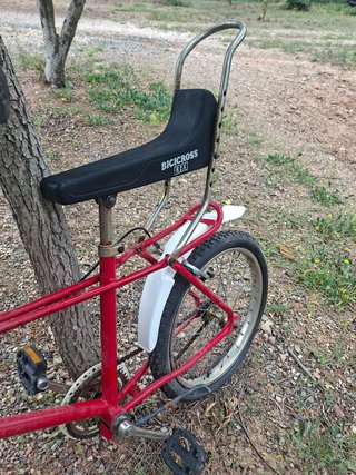 Bicicleta Vintage Roja