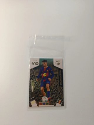 Cromos Panini 2025-26