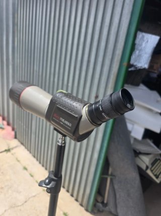 Telescopio Terrestre Kowa TS-613