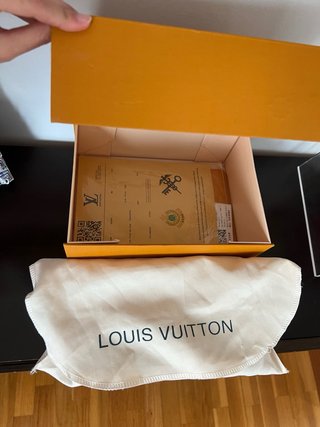 Borsa Louis Vuitton Marrone Dorato con Catena