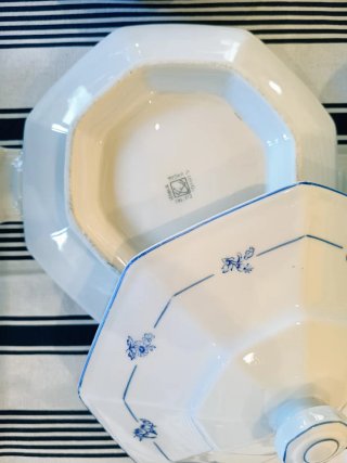 Vajilla Porcelana 22 piezas
