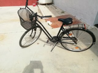 Bicicleta Bwin con cesta