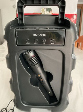 Cassa Bluetooth + Microfono Karaoke 1200 W