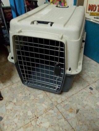 Transportín para perro,medidas 0,81por 0,56 por 59