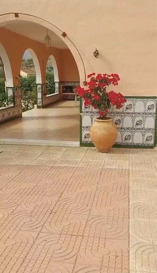Vivienda Cortijo con naranjos y frutales en Gador