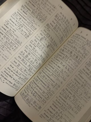 An Egyptian Hieroglyphic Dictionary