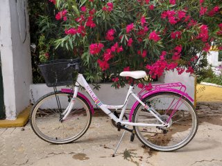 Bicicleta Niña City 24 Rosa