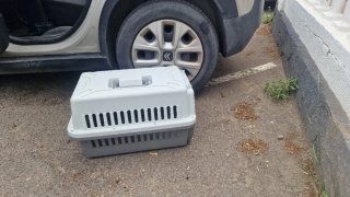 Transportín perro mediano gris y blanco