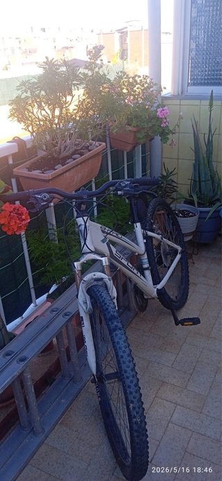 Bicicleta de Montaña Blanca
