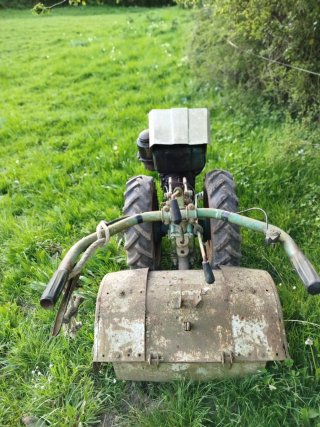 Motocultor Bertolini 310 S