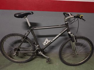 Bicicleta de Montaña