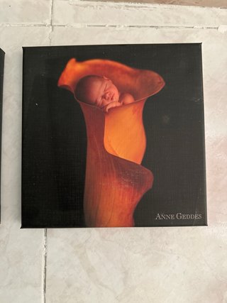 Cuadros Anne Geddes Bebés Flores