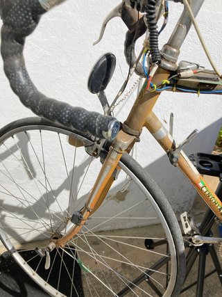 Piezas bicicleta clásica Cinghiiale