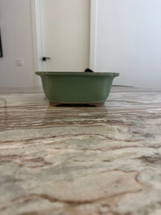 Maceta bonsai cerámica verde y marrón