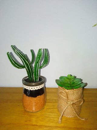 Suculenta y cactus de plástico.