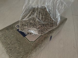 Fieno e mangime per roditori criceti conigli nani