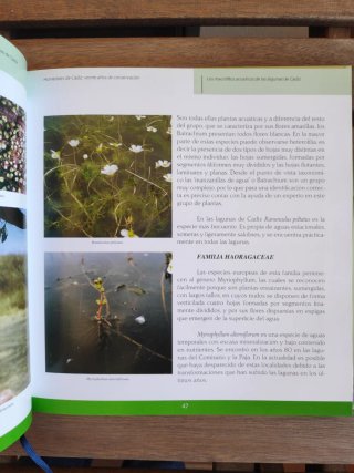 Humedales de Cádiz: Veinte años de conservación